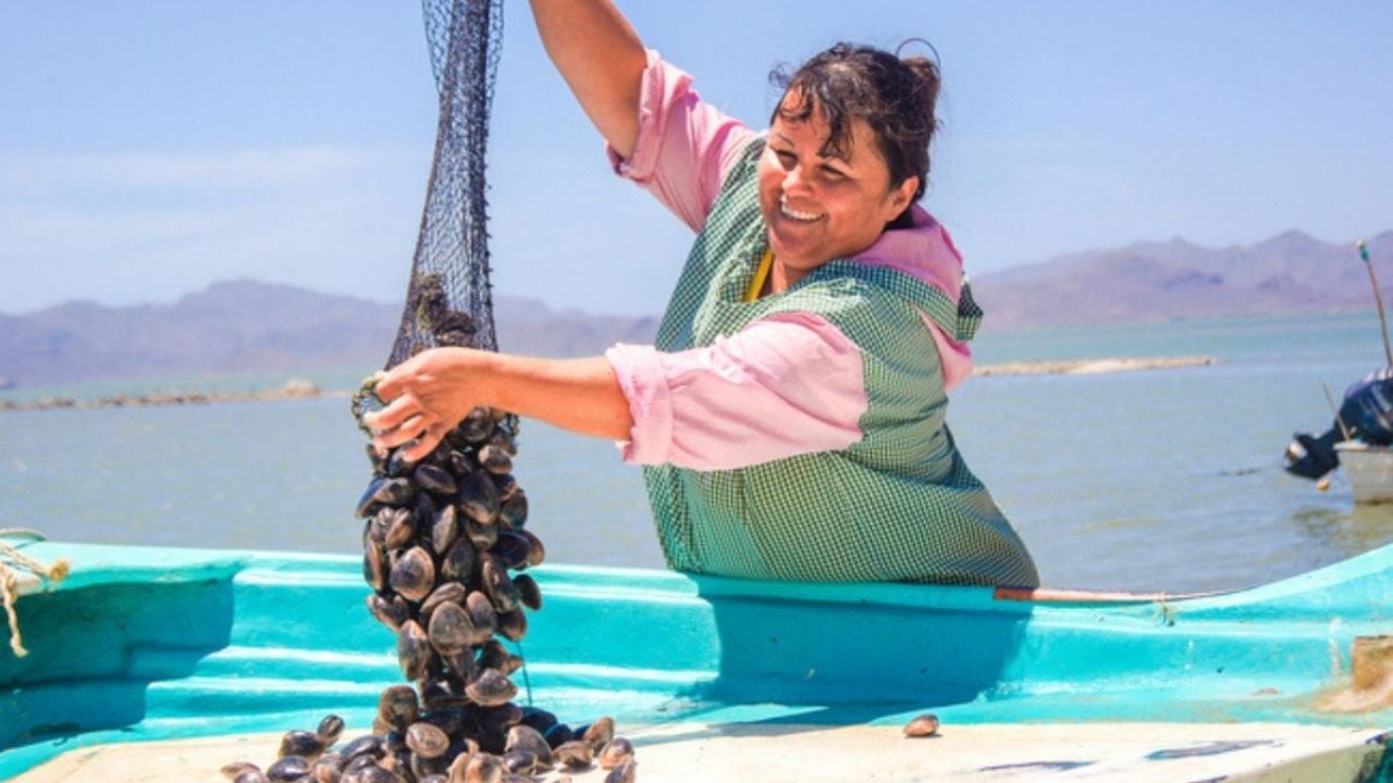 Conapesca y Alianza del Pacífico capacitan a mujeres pesqueras