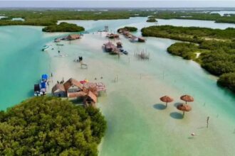Chuburná, Yucatán: playas cristalinas y manglares para 2026