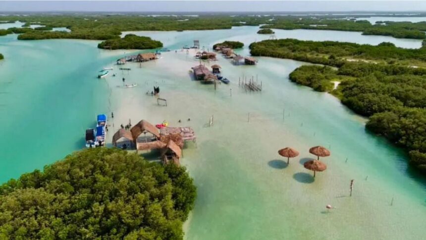 Chuburná, Yucatán: playas cristalinas y manglares para 2026