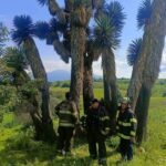 Siete heridos por caída de rayo en festividad de Toluca