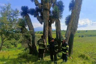 Siete heridos por caída de rayo en festividad de Toluca