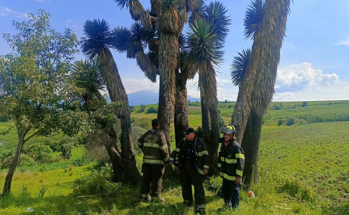 Siete heridos por caída de rayo en festividad de Toluca