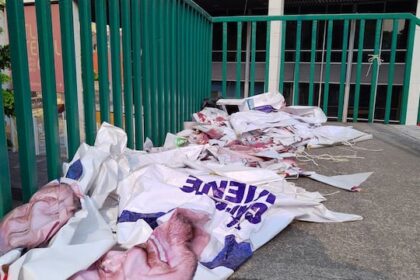 América Rangel prioriza visibilidad; MH exige resultados reales