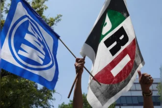 PRI y PAN pierden registro en 11 estados tras elecciones 2024