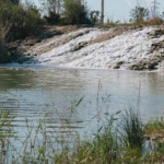 La Puebla de Cazalla invierte en el río Corbones contra inundaciones